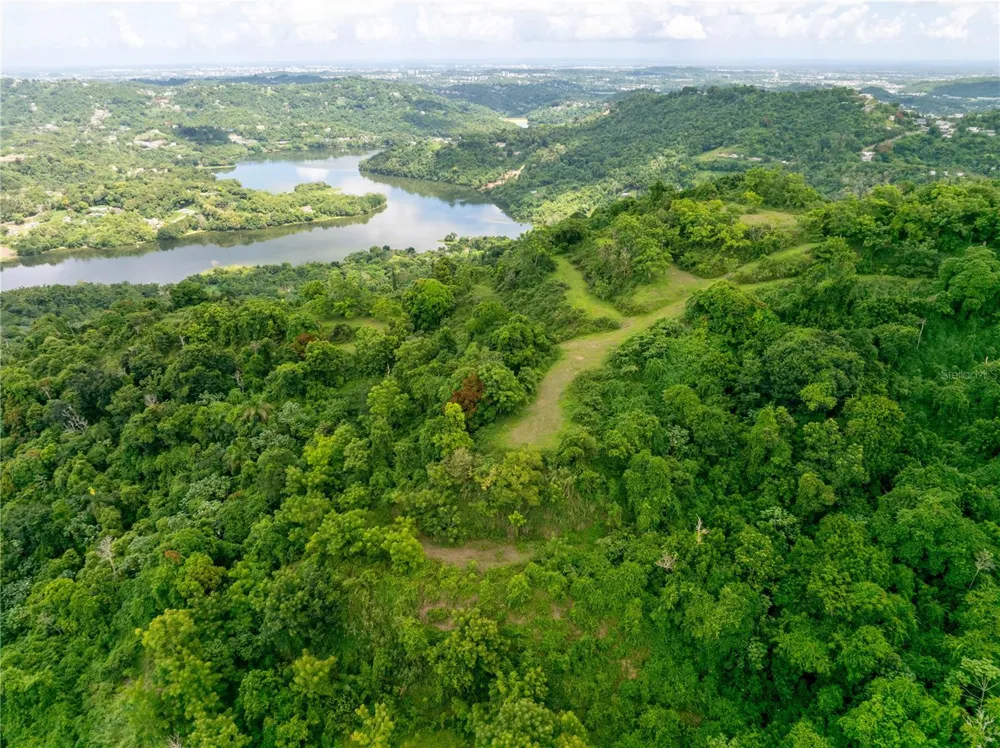 arr 942 JAGUAS Gurabo, PR 00778