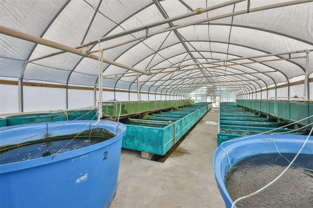 20112 HOBBS ROAD Wimauma, FL 33598