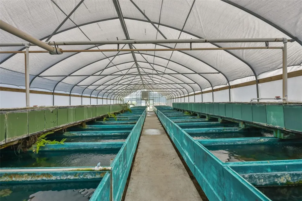 20112 HOBBS ROAD Wimauma, FL 33598