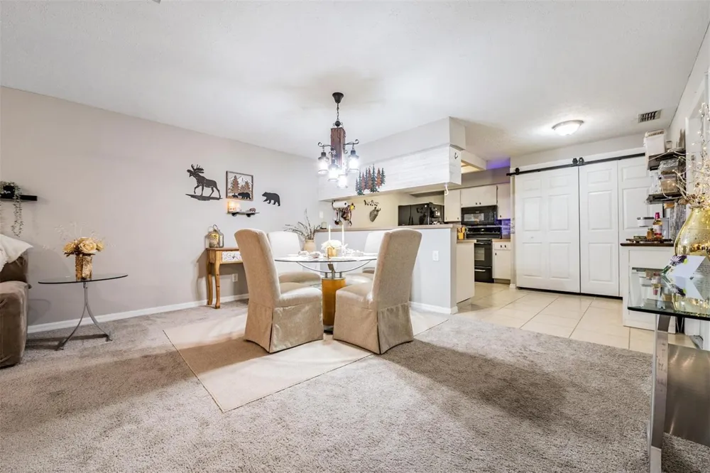 23205 CLUB VILLAS DRIVE #30 Land O Lakes, FL 34639