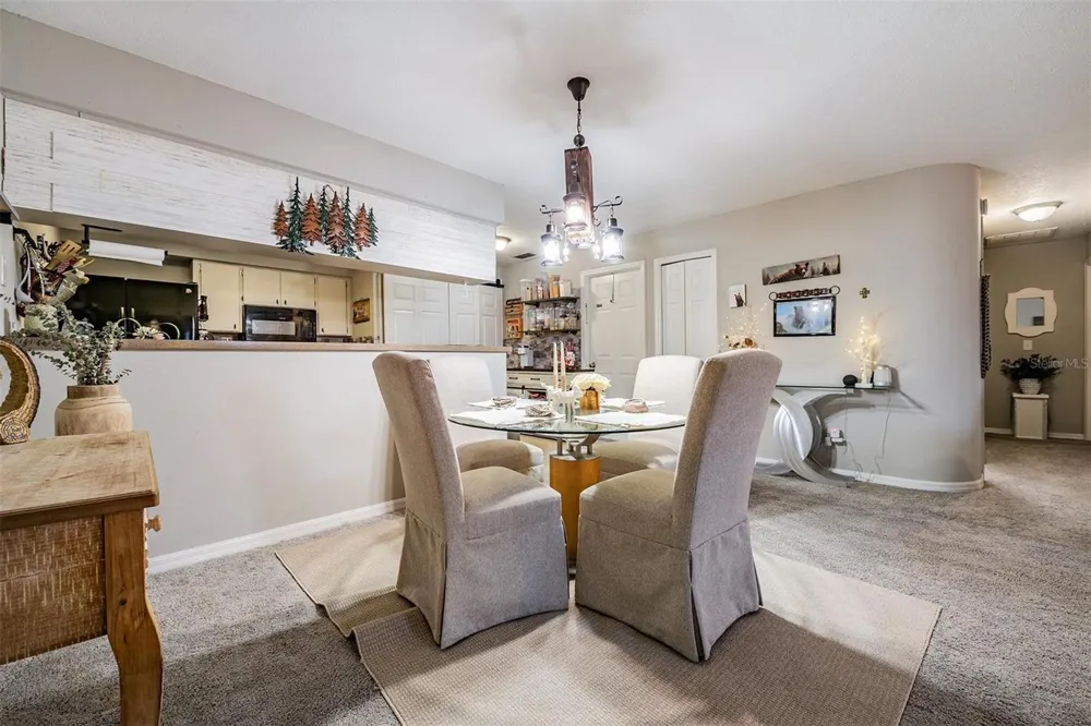23205 CLUB VILLAS DRIVE #30 Land O Lakes, FL 34639