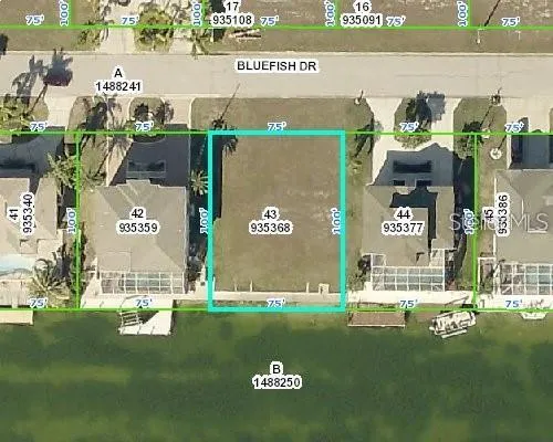 3464 BLUEFISH DRIVE Hernando Beach, FL 34607