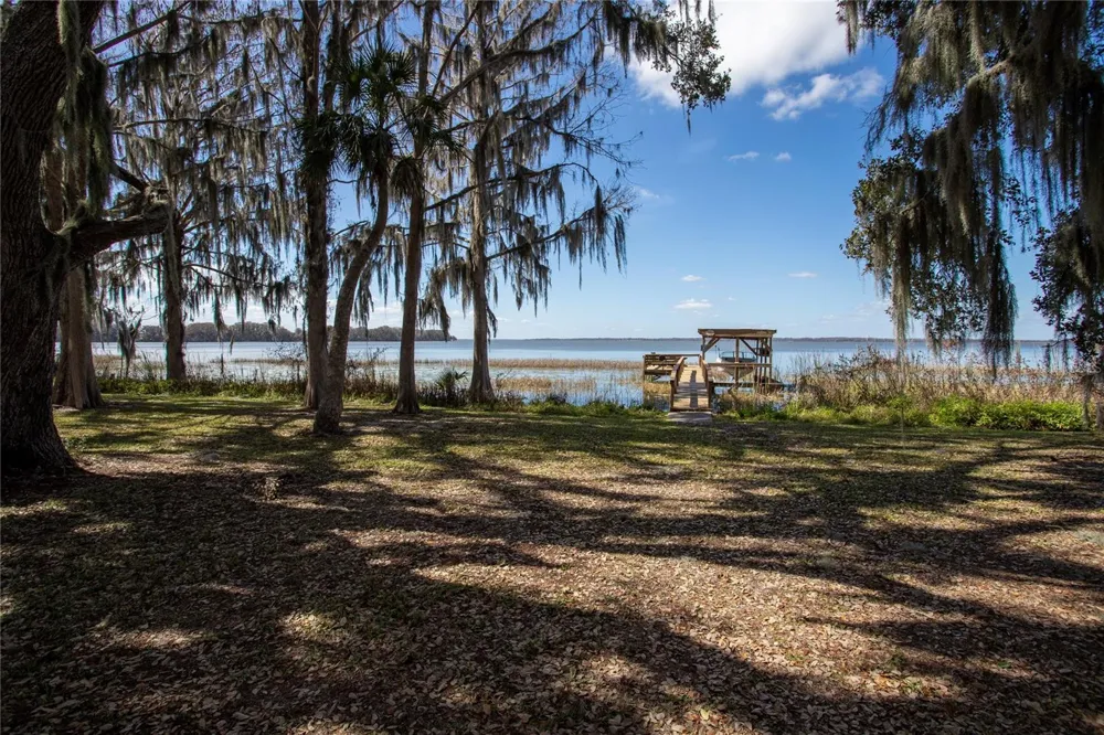 31035 COVE ROAD Tavares, FL 32778