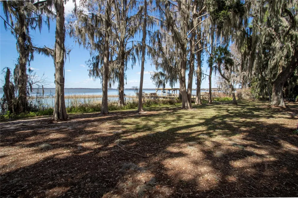 31035 COVE ROAD Tavares, FL 32778