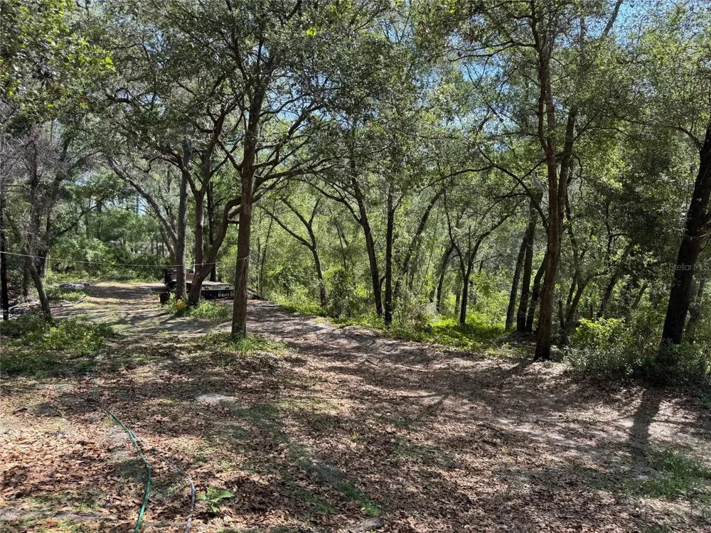 16137 SE 34TH PLACE Ocklawaha, FL 32179