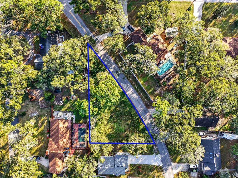 APAWAMIS DRIVE Sorrento, FL 32776