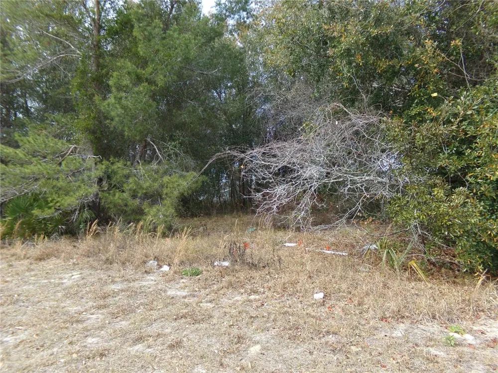 1680 CATALINA BLVD Deltona, FL 32738