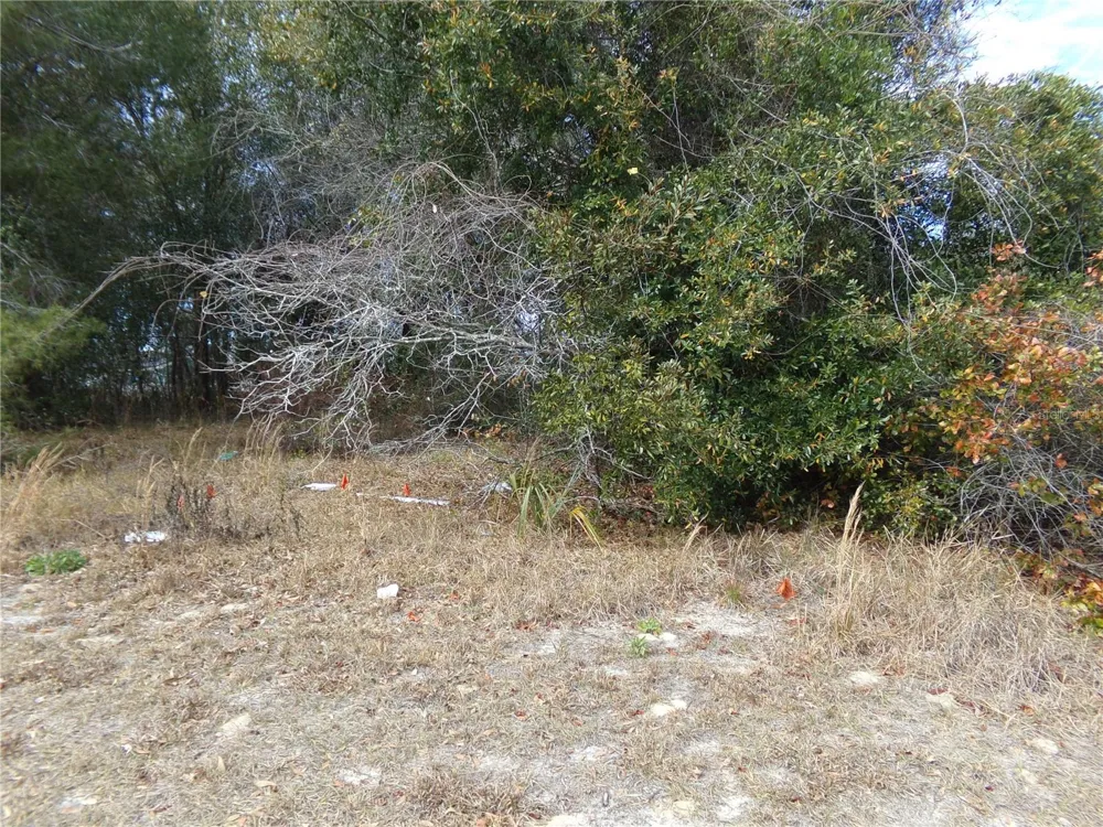 1680 CATALINA BLVD Deltona, FL 32738