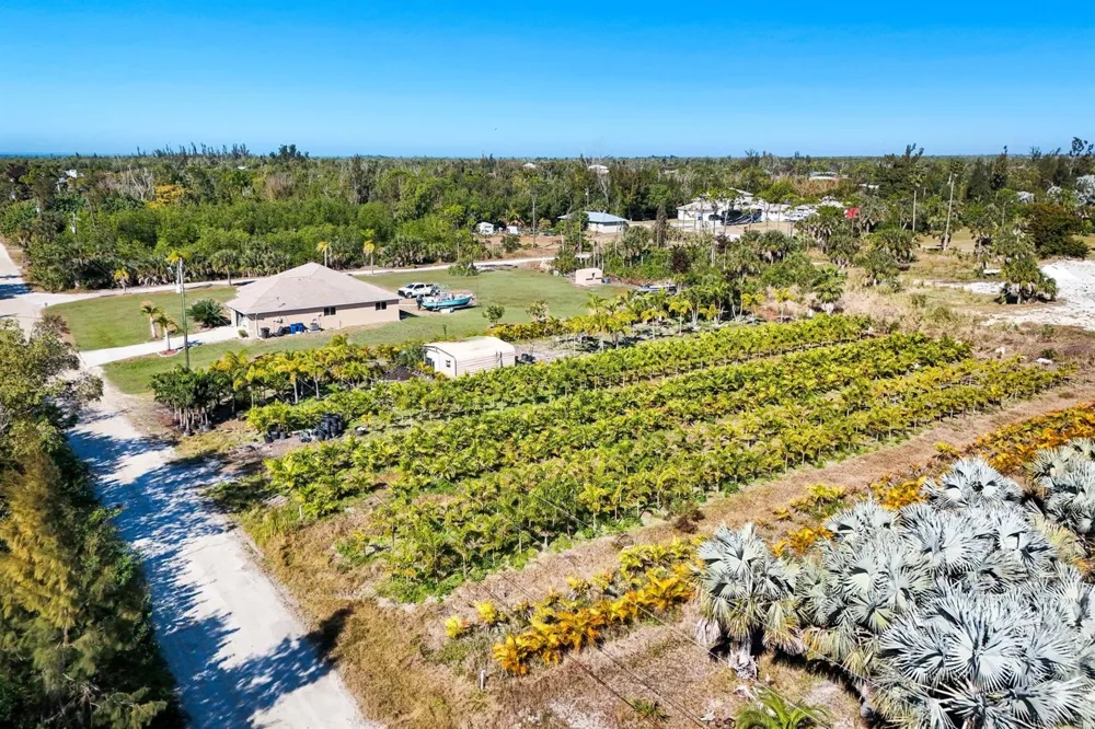 4442 COURTNEY ROAD St James City, FL 33956