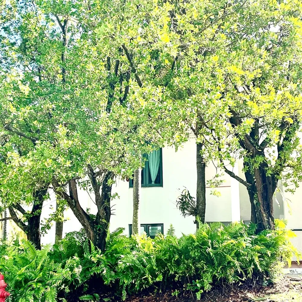 22-01 COND. RIO MAR VILLAGE ##22-01 Rio Grande, PR 00745