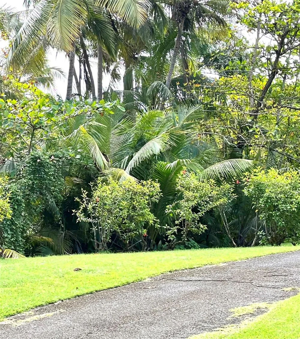 22-01 COND. RIO MAR VILLAGE ##22-01 Rio Grande, PR 00745
