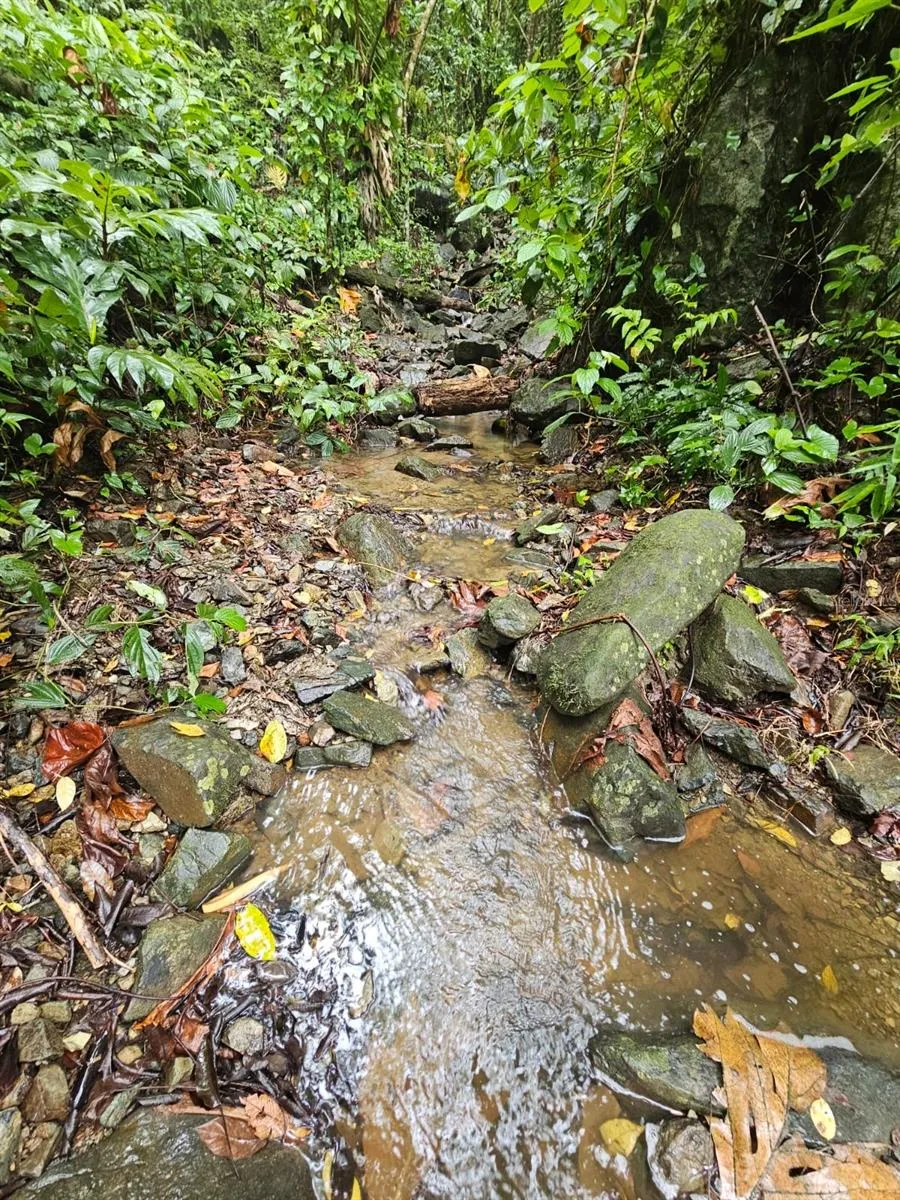 PR 970 MAIZALES WARD Naguabo, PR 00718