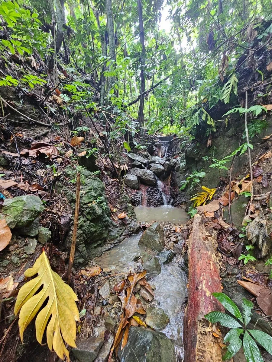 PR 970 MAIZALES WARD Naguabo, PR 00718