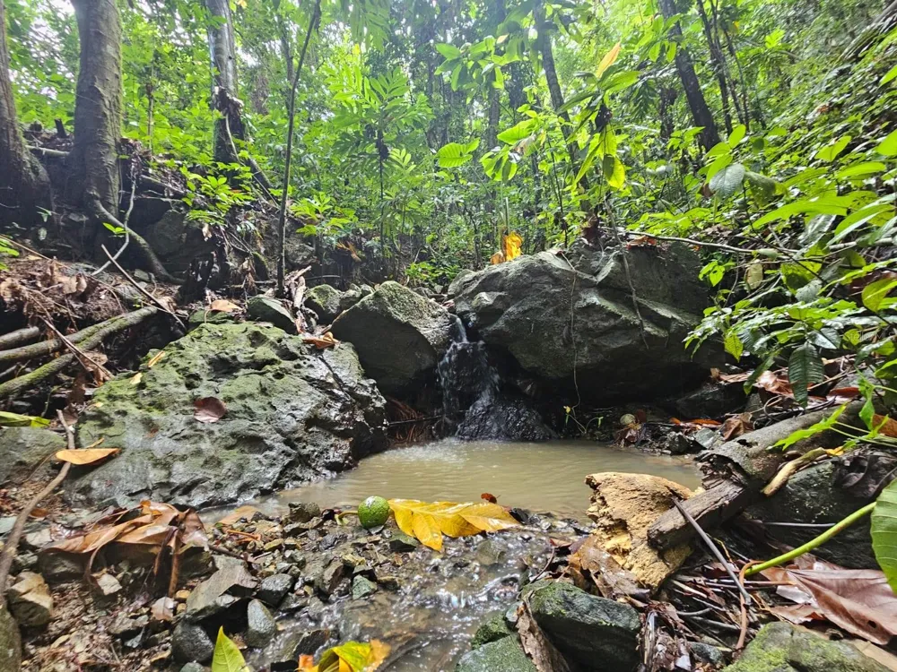 PR 970 MAIZALES WARD Naguabo, PR 00718