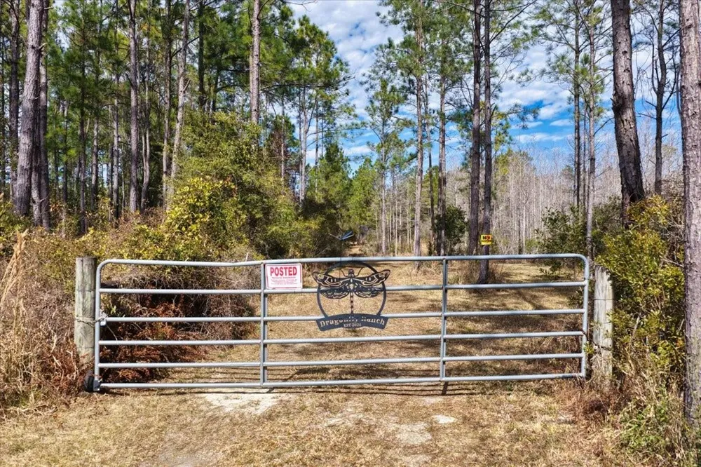 60 Acres NW CLYATT ROAD Chiefland, FL 32626