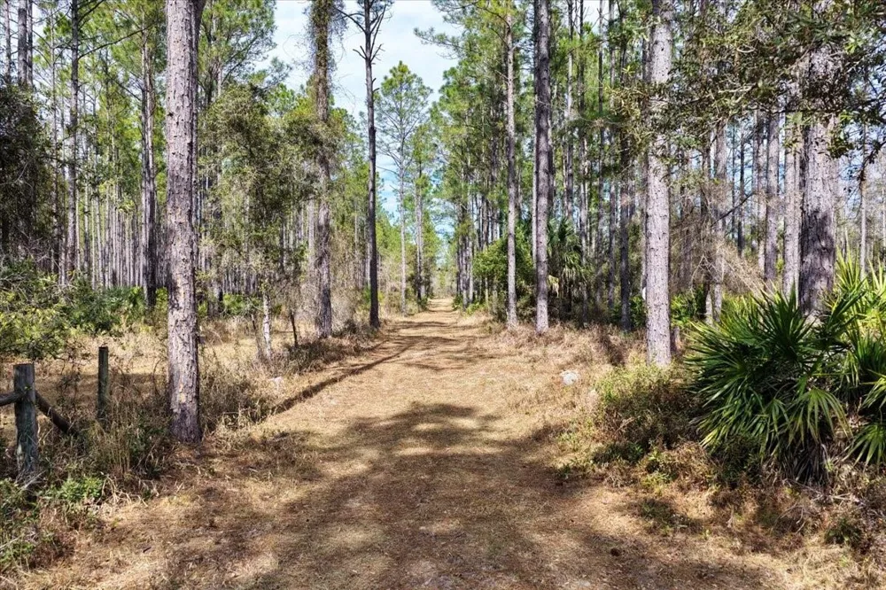 60 Acres NW CLYATT ROAD Chiefland, FL 32626