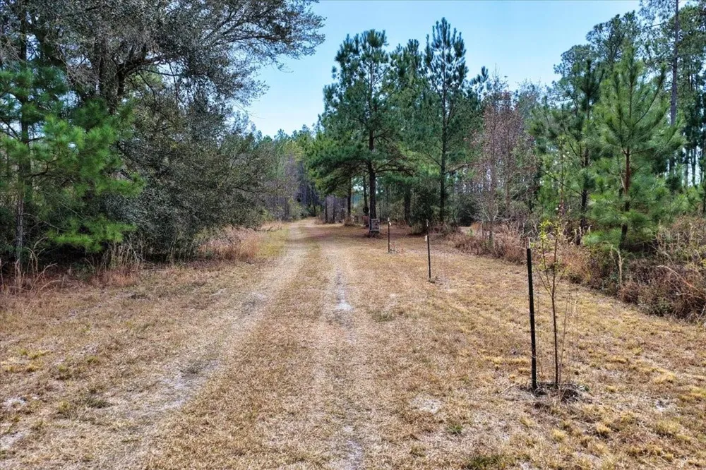 60 Acres NW CLYATT ROAD Chiefland, FL 32626