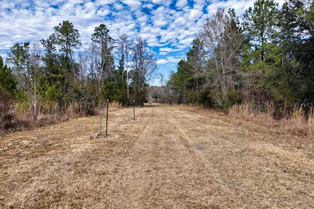 60 Acres NW CLYATT ROAD Chiefland, FL 32626