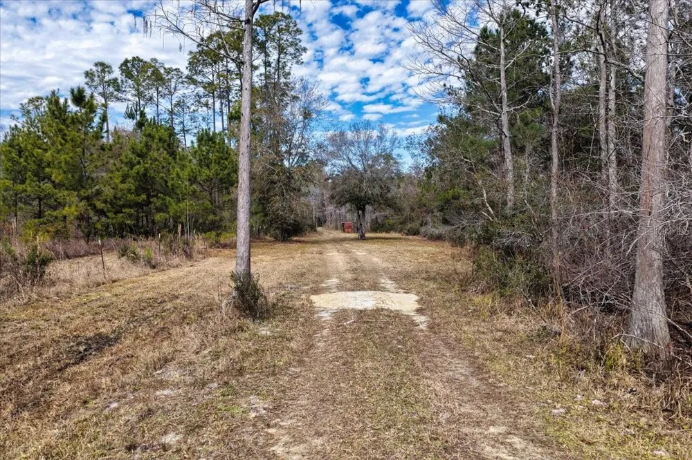 60 Acres NW CLYATT ROAD Chiefland, FL 32626