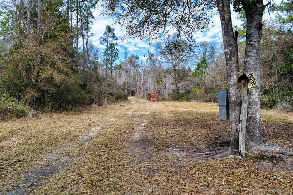 60 Acres NW CLYATT ROAD Chiefland, FL 32626