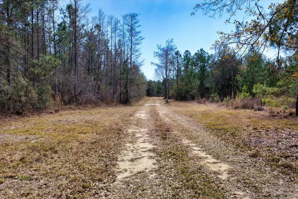 60 Acres NW CLYATT ROAD Chiefland, FL 32626