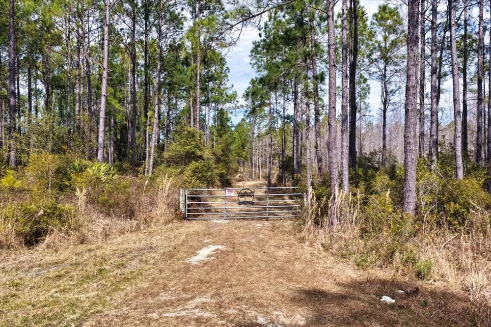 60 Acres NW CLYATT ROAD Chiefland, FL 32626