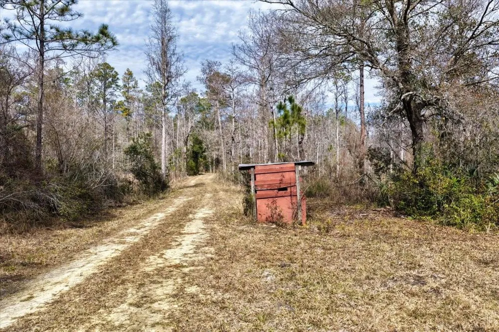 60 Acres NW CLYATT ROAD Chiefland, FL 32626