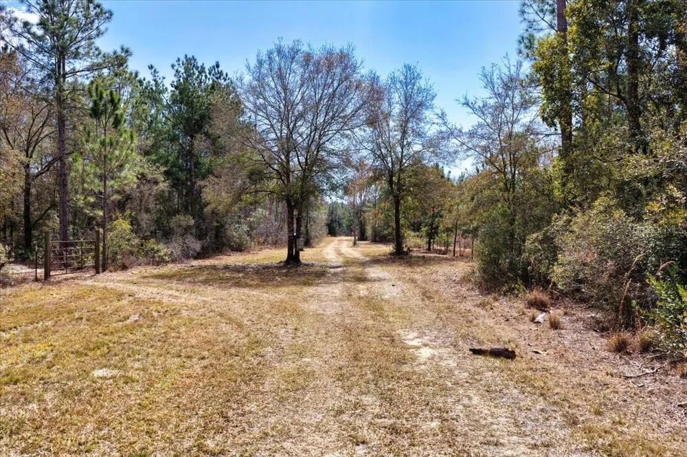 60 Acres NW CLYATT ROAD Chiefland, FL 32626