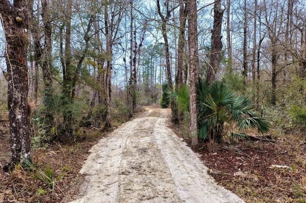 60 Acres NW CLYATT ROAD Chiefland, FL 32626