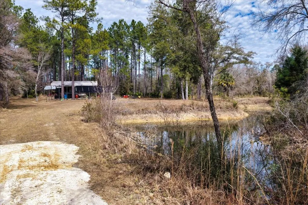 60 Acres NW CLYATT ROAD Chiefland, FL 32626