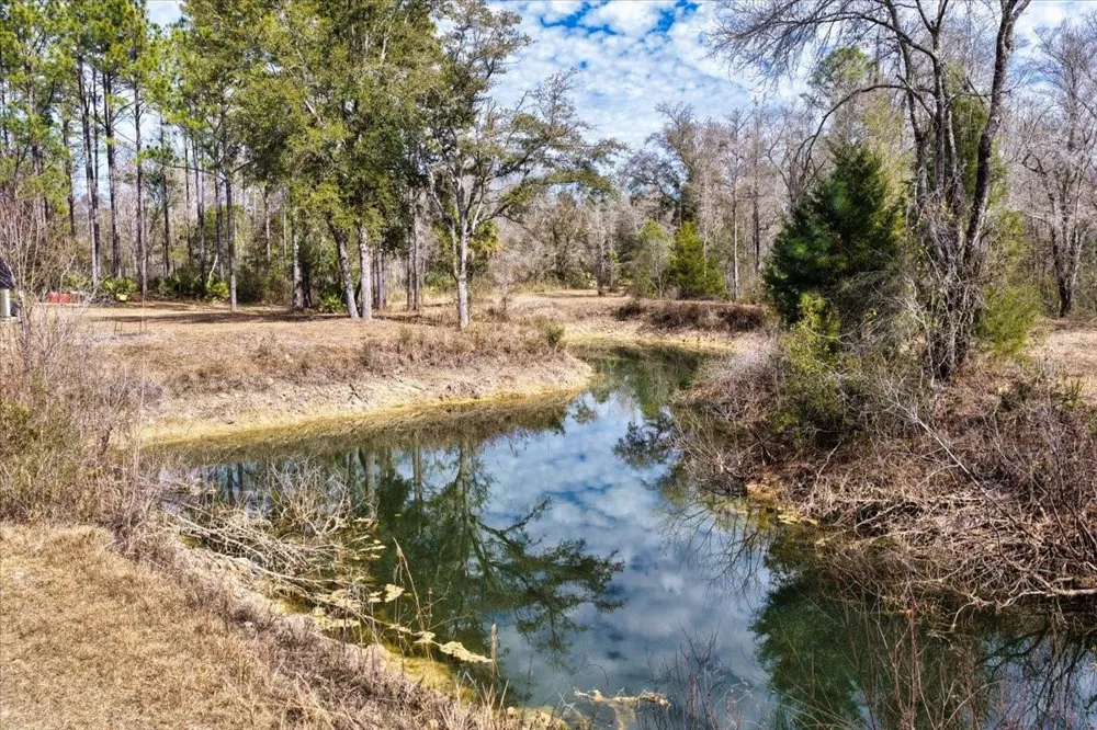60 Acres NW CLYATT ROAD Chiefland, FL 32626