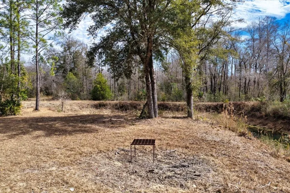 60 Acres NW CLYATT ROAD Chiefland, FL 32626