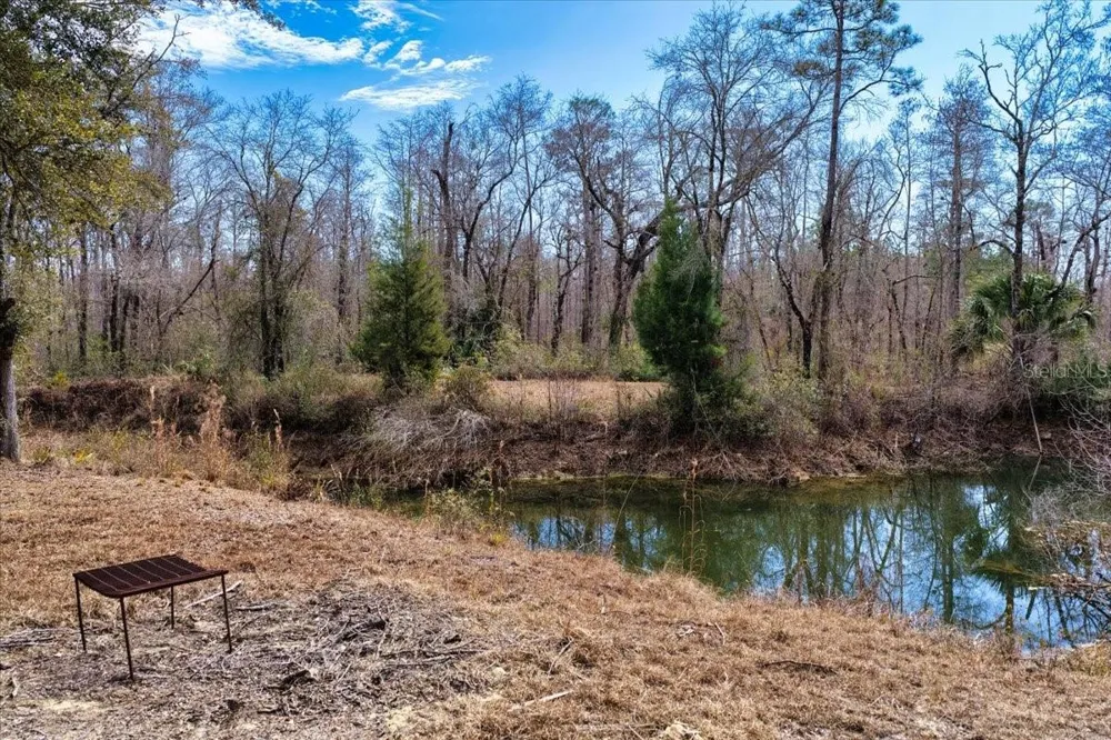 60 Acres NW CLYATT ROAD Chiefland, FL 32626
