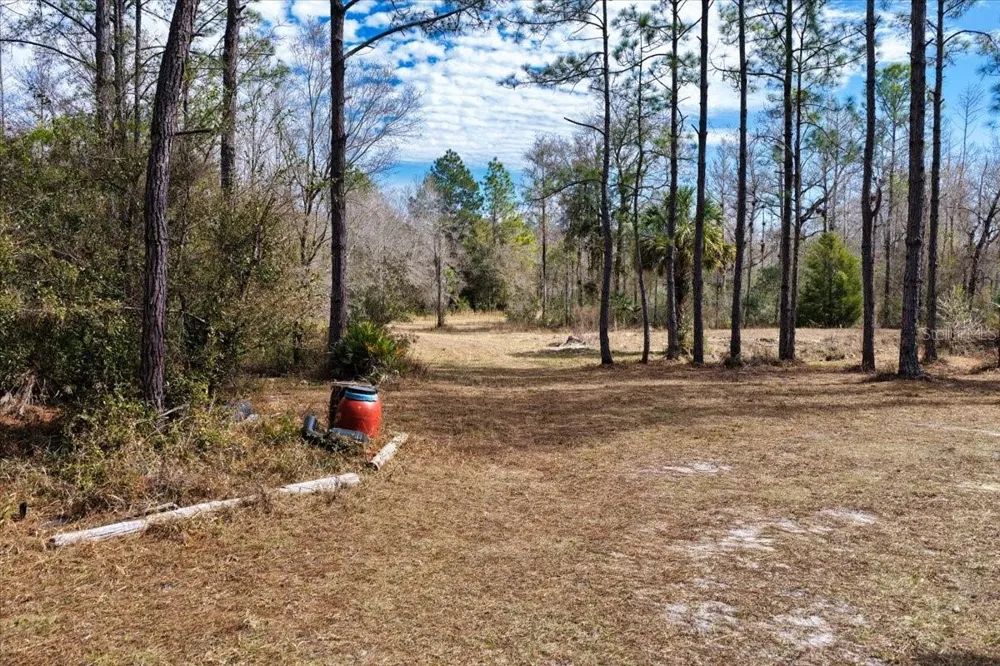 60 Acres NW CLYATT ROAD Chiefland, FL 32626