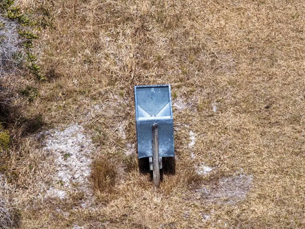 60 Acres NW CLYATT ROAD Chiefland, FL 32626