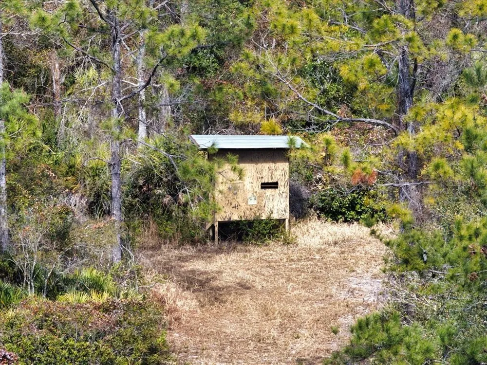 60 Acres NW CLYATT ROAD Chiefland, FL 32626