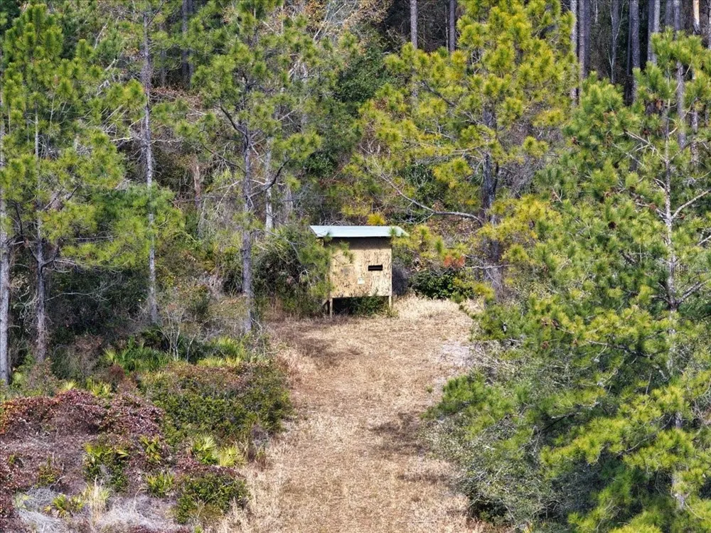 60 Acres NW CLYATT ROAD Chiefland, FL 32626