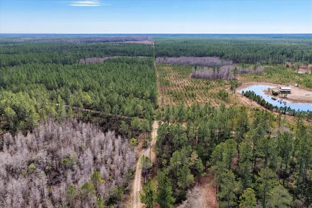 60 Acres NW CLYATT ROAD Chiefland, FL 32626