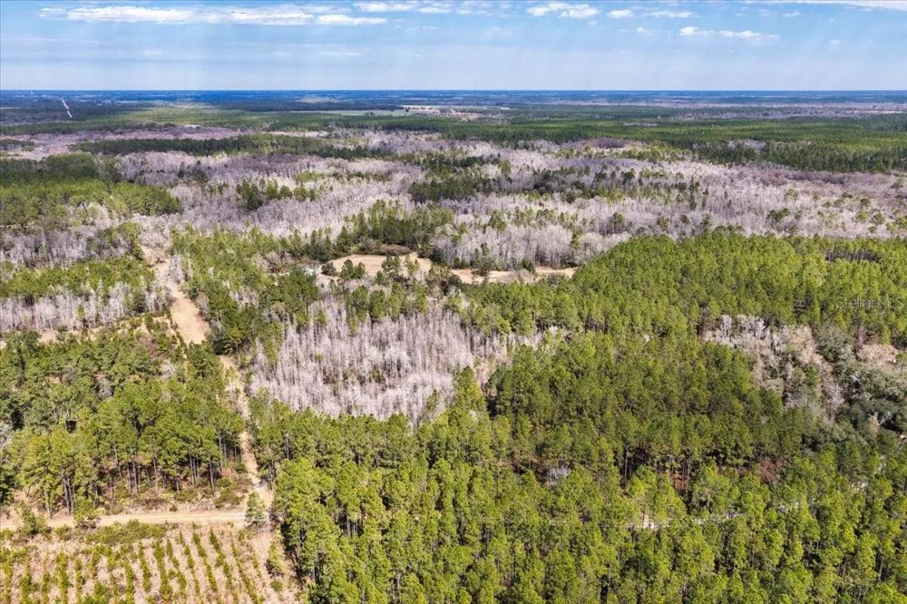 60 Acres NW CLYATT ROAD Chiefland, FL 32626