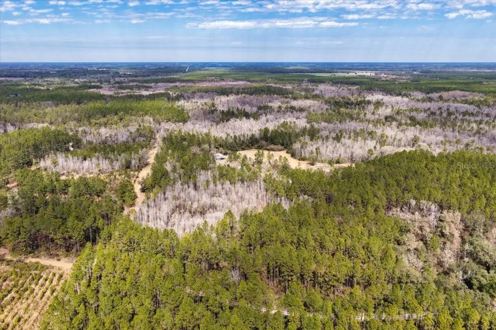 60 Acres NW CLYATT ROAD Chiefland, FL 32626