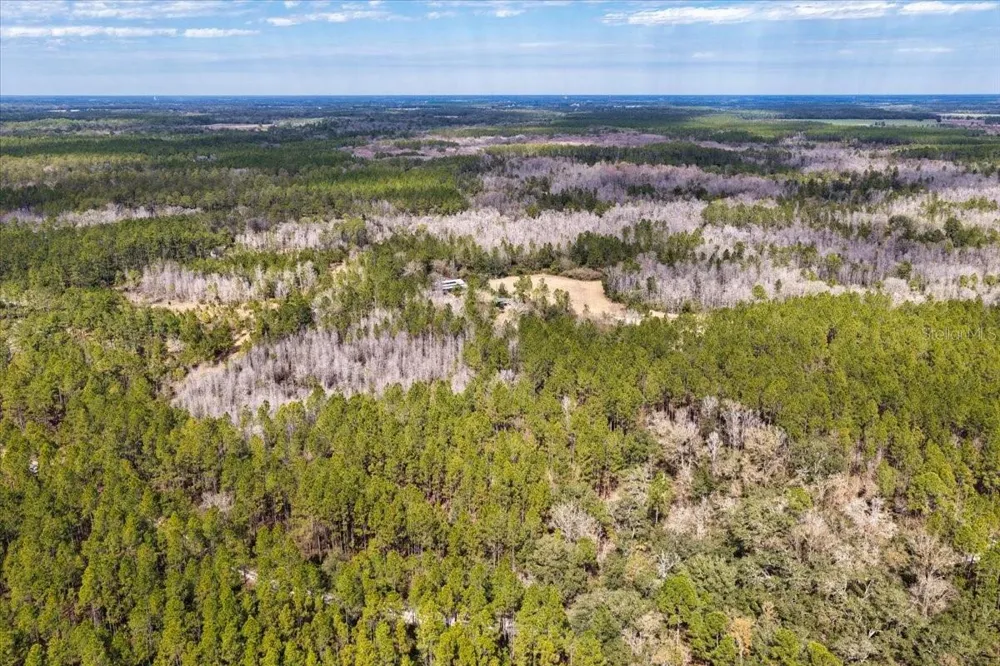 60 Acres NW CLYATT ROAD Chiefland, FL 32626
