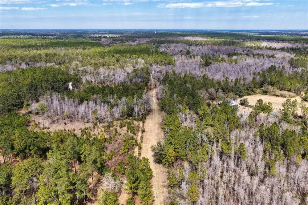 60 Acres NW CLYATT ROAD Chiefland, FL 32626