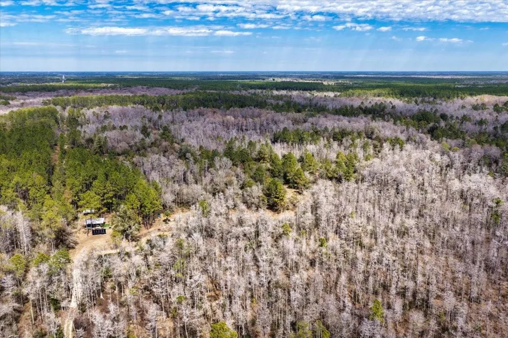 60 Acres NW CLYATT ROAD Chiefland, FL 32626