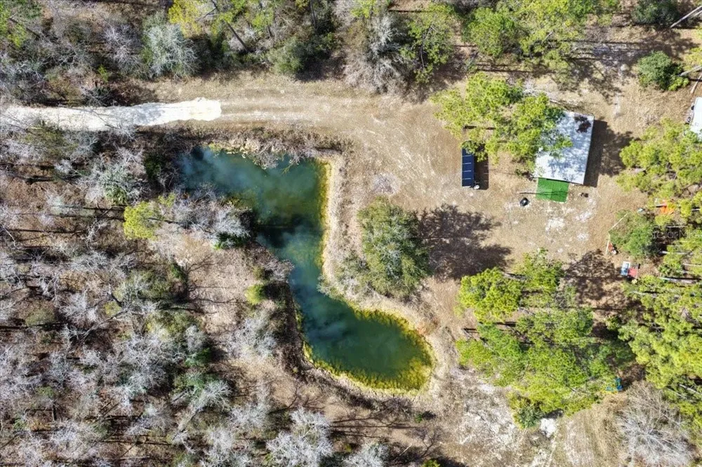 60 Acres NW CLYATT ROAD Chiefland, FL 32626