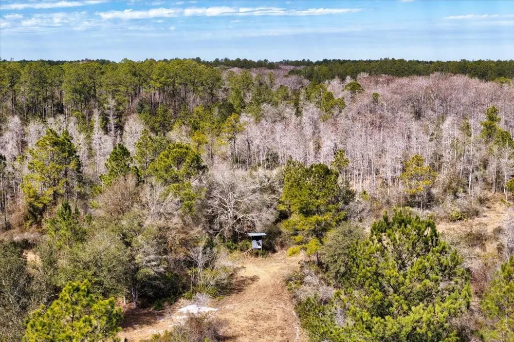 60 Acres NW CLYATT ROAD Chiefland, FL 32626