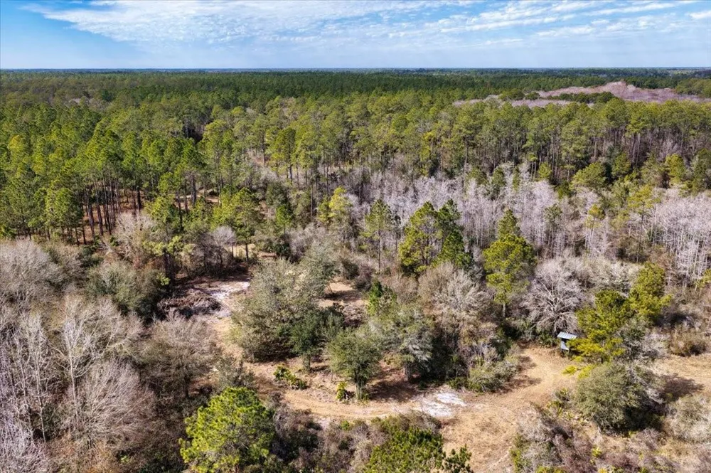 60 Acres NW CLYATT ROAD Chiefland, FL 32626