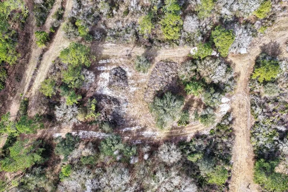 60 Acres NW CLYATT ROAD Chiefland, FL 32626