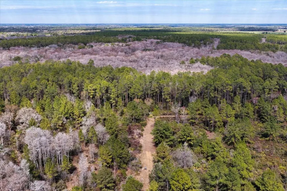 60 Acres NW CLYATT ROAD Chiefland, FL 32626