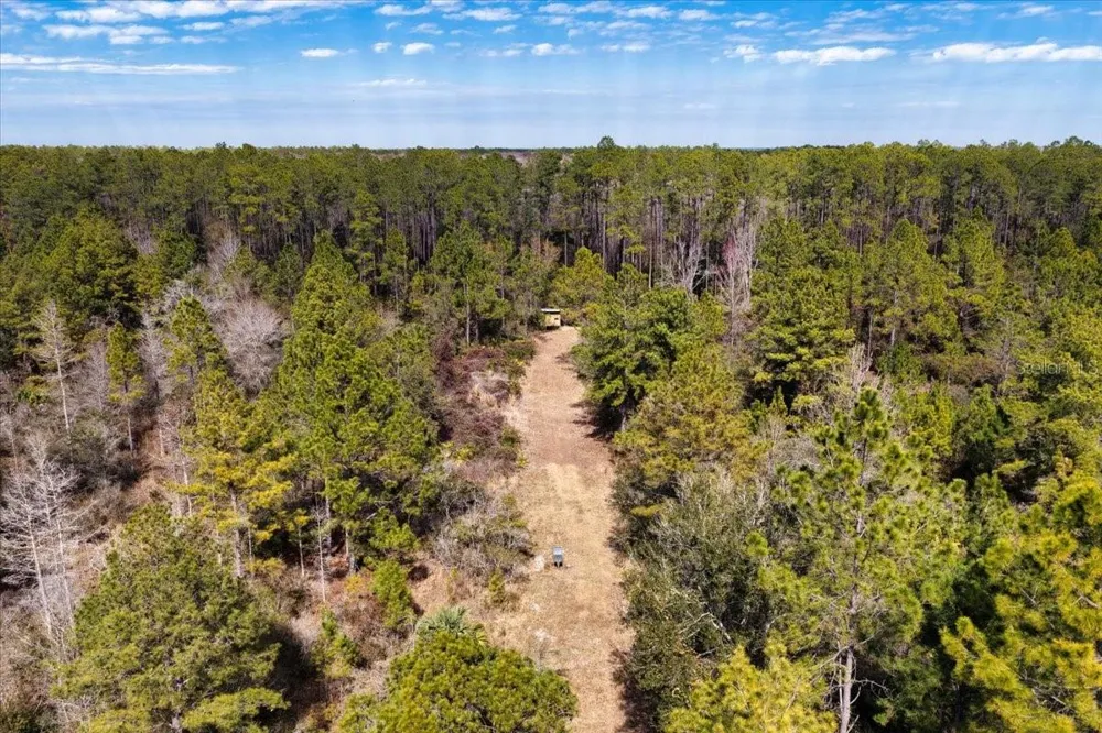 60 Acres NW CLYATT ROAD Chiefland, FL 32626