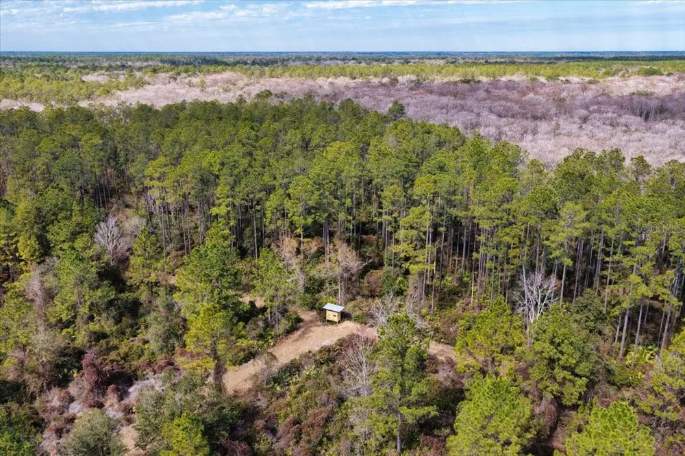 60 Acres NW CLYATT ROAD Chiefland, FL 32626